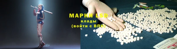 мдпв Каменка