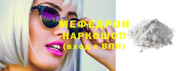 мдпв Каменка