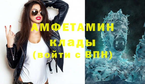 мдпв Каменка