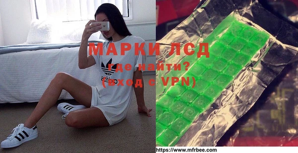 мдпв Каменка