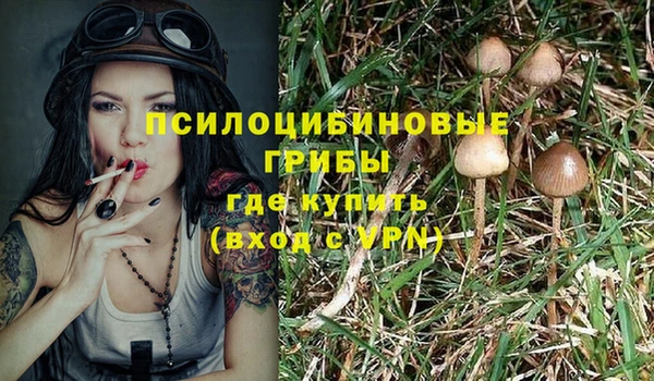 МДПВ Каменск-Шахтинский