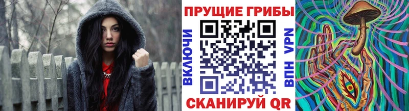 Галлюциногенные грибы Psilocybe  Купить где  Сегежа 